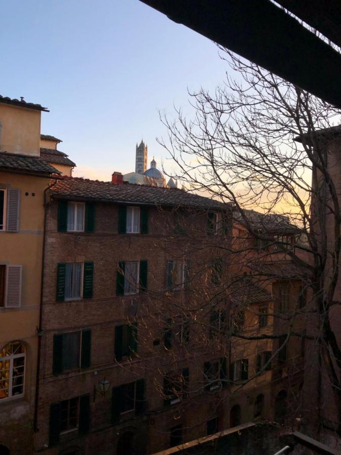 Teresa 91, Appartamento Incantevole Vista Duomo Siena Eksteriør billede